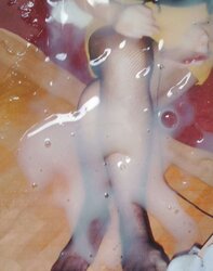 Hellfires wifey gets creampied by the IMPREGNATOR !!!!!!!!