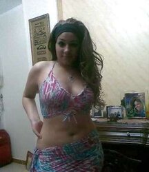 Egyptian hared assets