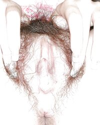Sexy delightful wooly pussys upclose