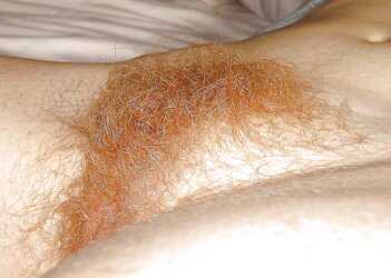Sexy delightful wooly pussys upclose