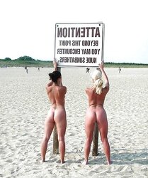 Naturist beach swingers II