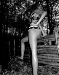 Joy in the Forest
