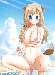 Dolls in bathing suits