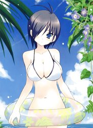 Dolls in bathing suits