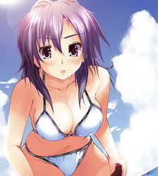 Dolls in bathing suits