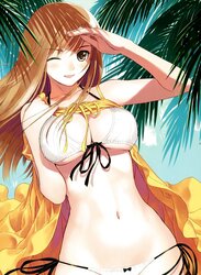 Dolls in bathing suits