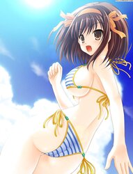 Dolls in bathing suits