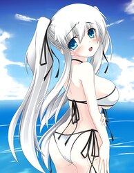 Dolls in bathing suits