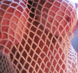 White fishnet top