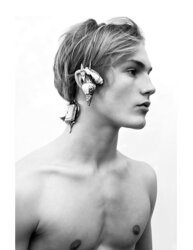 Harry....Wonderful Model
