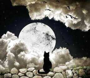 Feeling Witchy 2 )o(