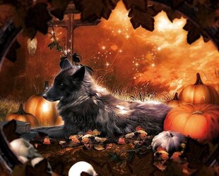 Feeling Witchy 2 )o(