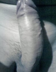 My galeri boner