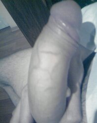 My galeri boner