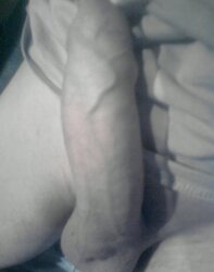 My galeri boner