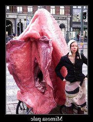 Meaty Coochie Bicycle Taxi Is Freudian Raw Fantasy