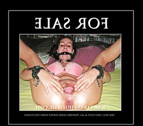 Poster Wives 34 - is your wifey here?