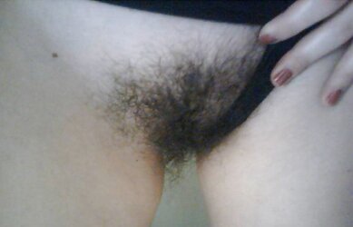 History and geography of my Wooly girlfriends