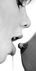 Erotic Lesbo