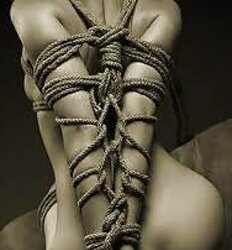 DOMINATION & SUBMISSION Snapshots-L