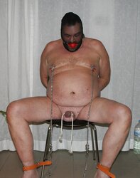 Gimp a tormented evening