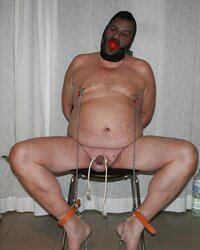 Gimp a tormented evening