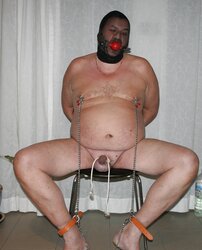 Gimp a tormented evening