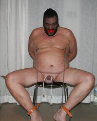Gimp a tormented evening