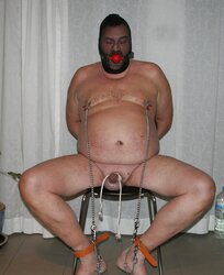 Gimp a tormented evening