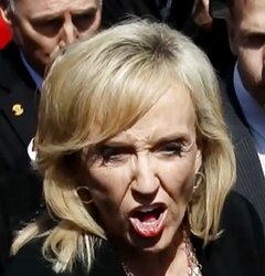 Conservative Jan Brewer gives me a meatpipe