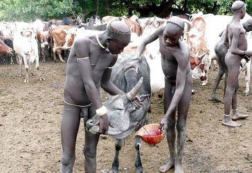 Africa folks drill ladies