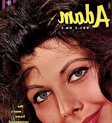 Vintage Adam magazine front pages