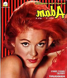 Vintage Adam magazine front pages