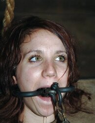 SADISM & MASOCHISM Dream