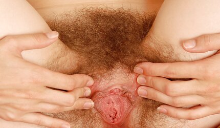 Wooly kitty