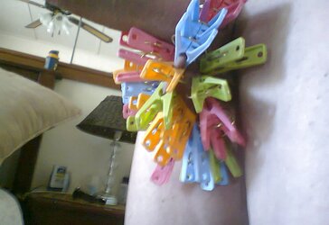 Peg extraordinary2