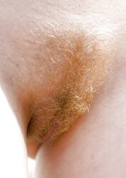 Personal exposure bra-stuffers donk and labia combined