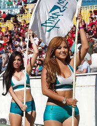 COLLECCION DE MAMITAS II