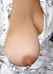 Webtastic Titties Vol.