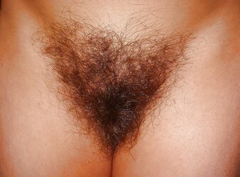 Furry Close Ups