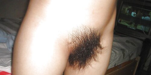 Furry Close Ups