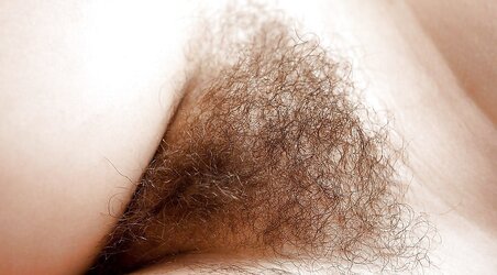 Furry Close Ups