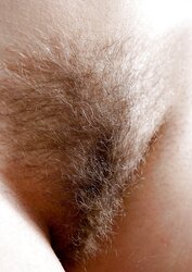 Furry Close Ups