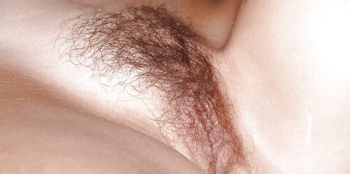 Furry Close Ups