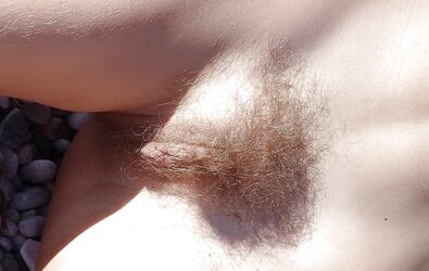 Furry Close Ups