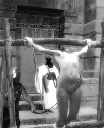 Sub Art Ebony and White