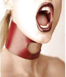Red-Hot Ladies Wearing Collars