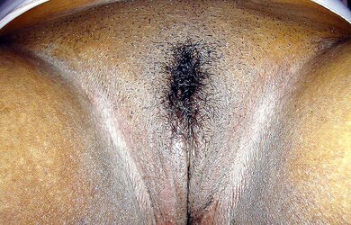 Meaty Dominican Honey