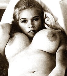 Splendid Vintage Melons two by TROC