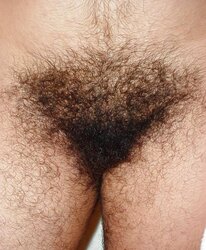 Mexican Hirsute Goddess - 1 - Juan